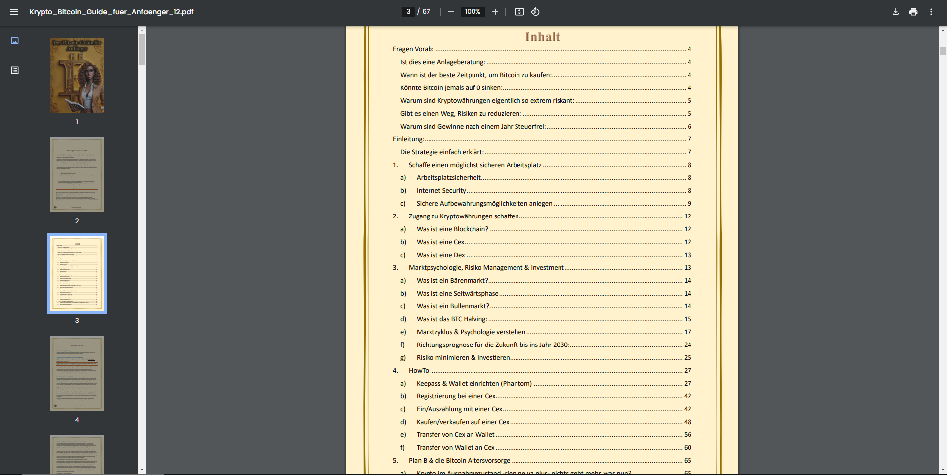Anfänger-Guide Screenshot